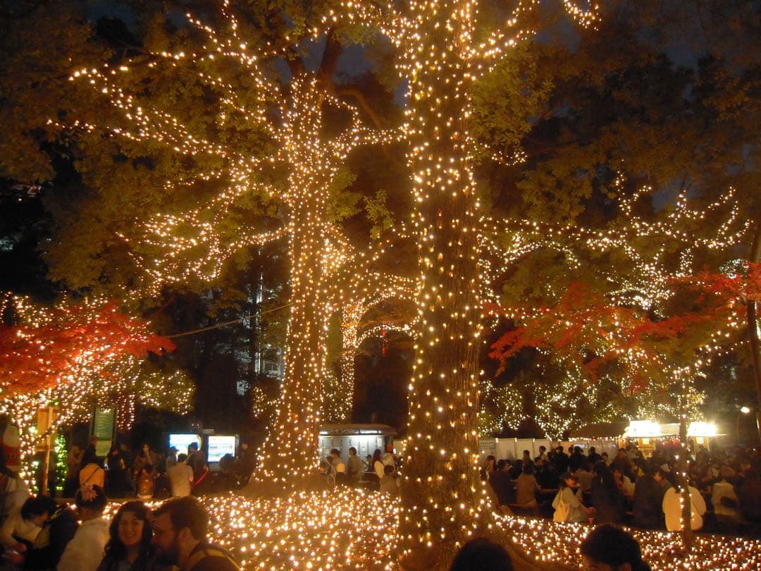 Nikon COOLPIX S620 パールホワイト