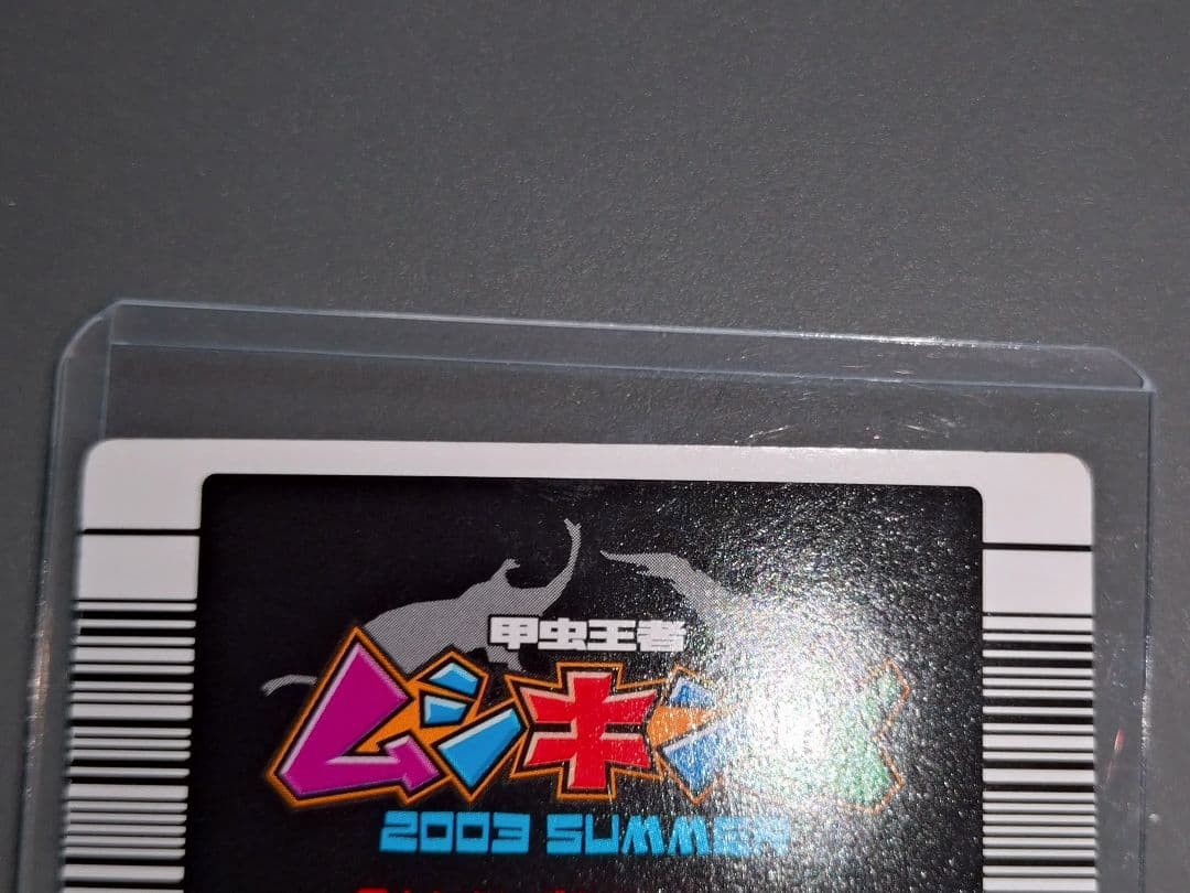 020Nパラワンオオヒラタクワガタ 2003 SUMMER 美品