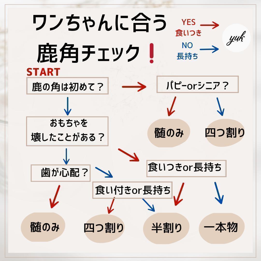 超大型犬用お試し3本セット　四つ割り＆半割り＆一本物根元　犬のおもちゃ