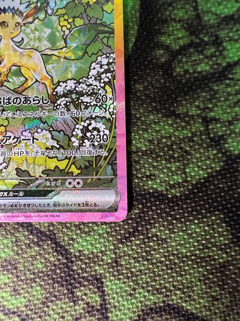ポケモンカードゲーム　リーフィアex sar テラスタルフェス