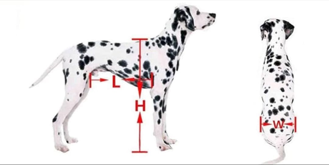 犬用車椅子 シニア犬カート 赤 サイズL-1 体重目安15-25kg