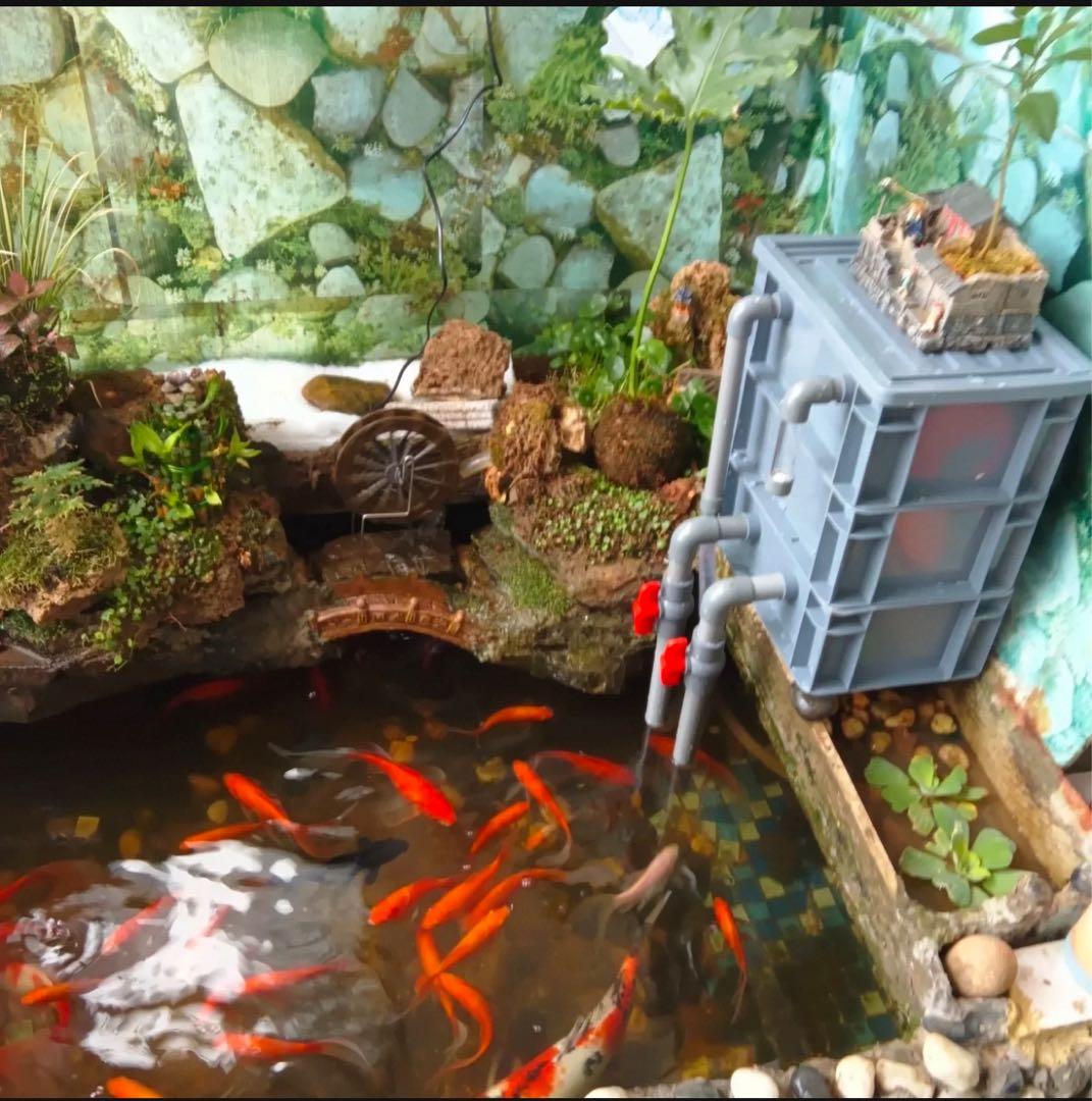 水槽池用万能フィルター 濾過槽　外部式上部飼育濾過器装置 アクアリウムろ過装置
