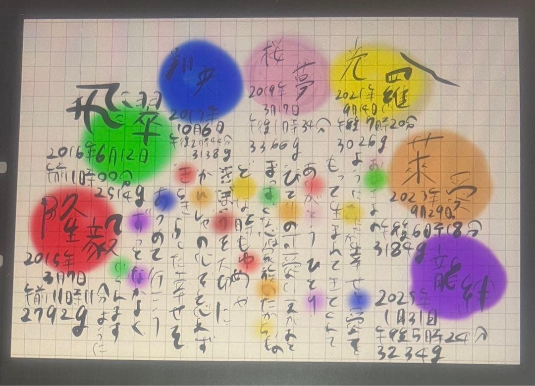 ちゃす様確認用