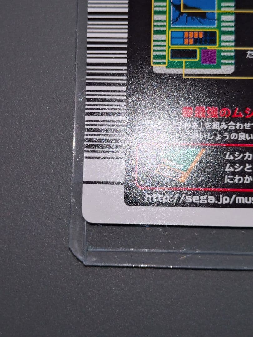 002Hヘルクレスオオカブト 2003秋 極美品
