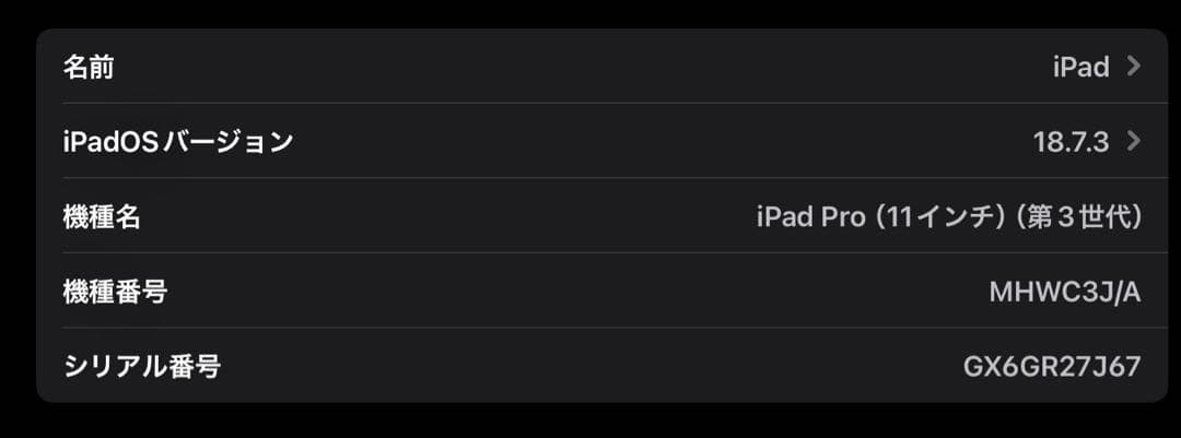 Apple iPad Pro 11インチ M1/1TB 美品 セット販売