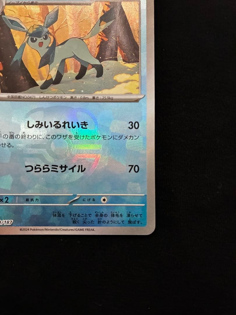 ポケモンカードのグレイシア、メガリザードンXex