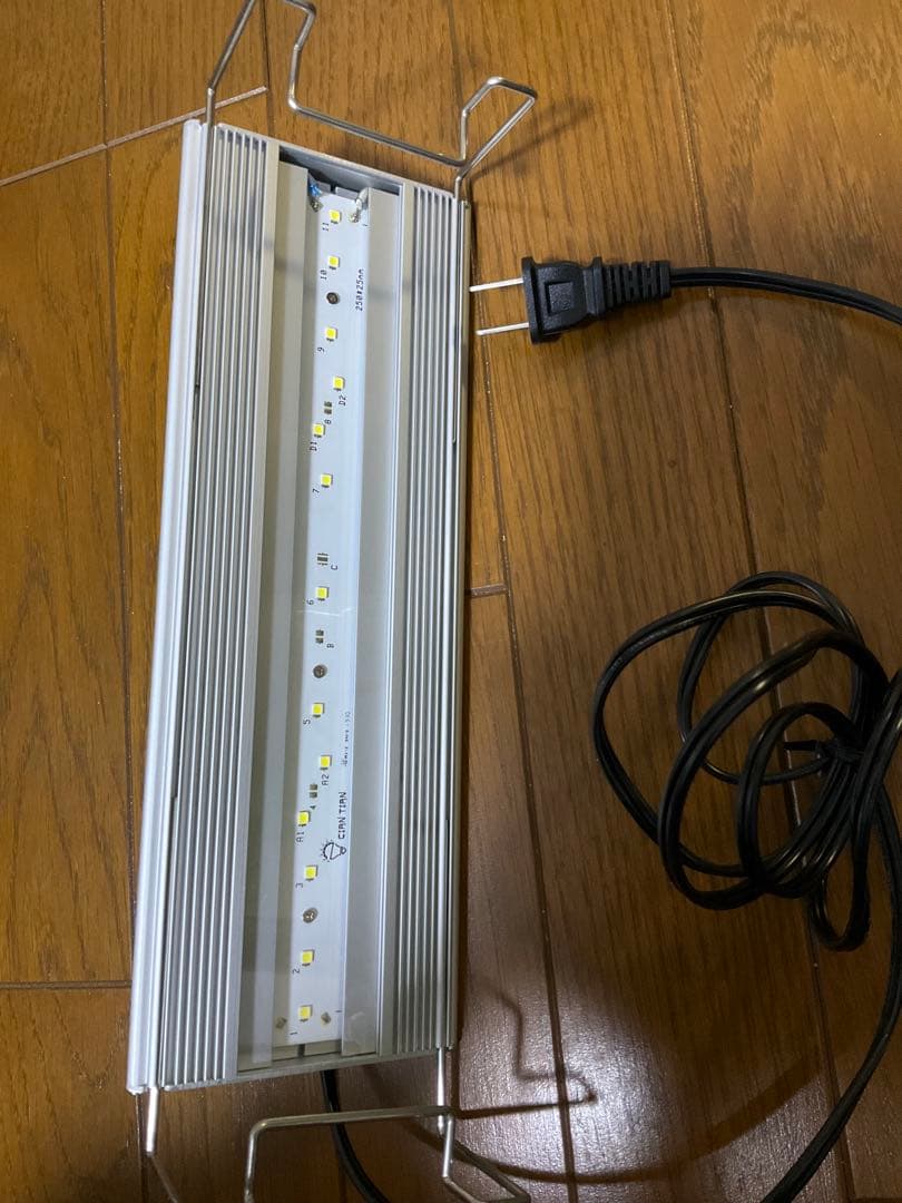 アクロ　トライアングル　グロウ　ブライト　30cm