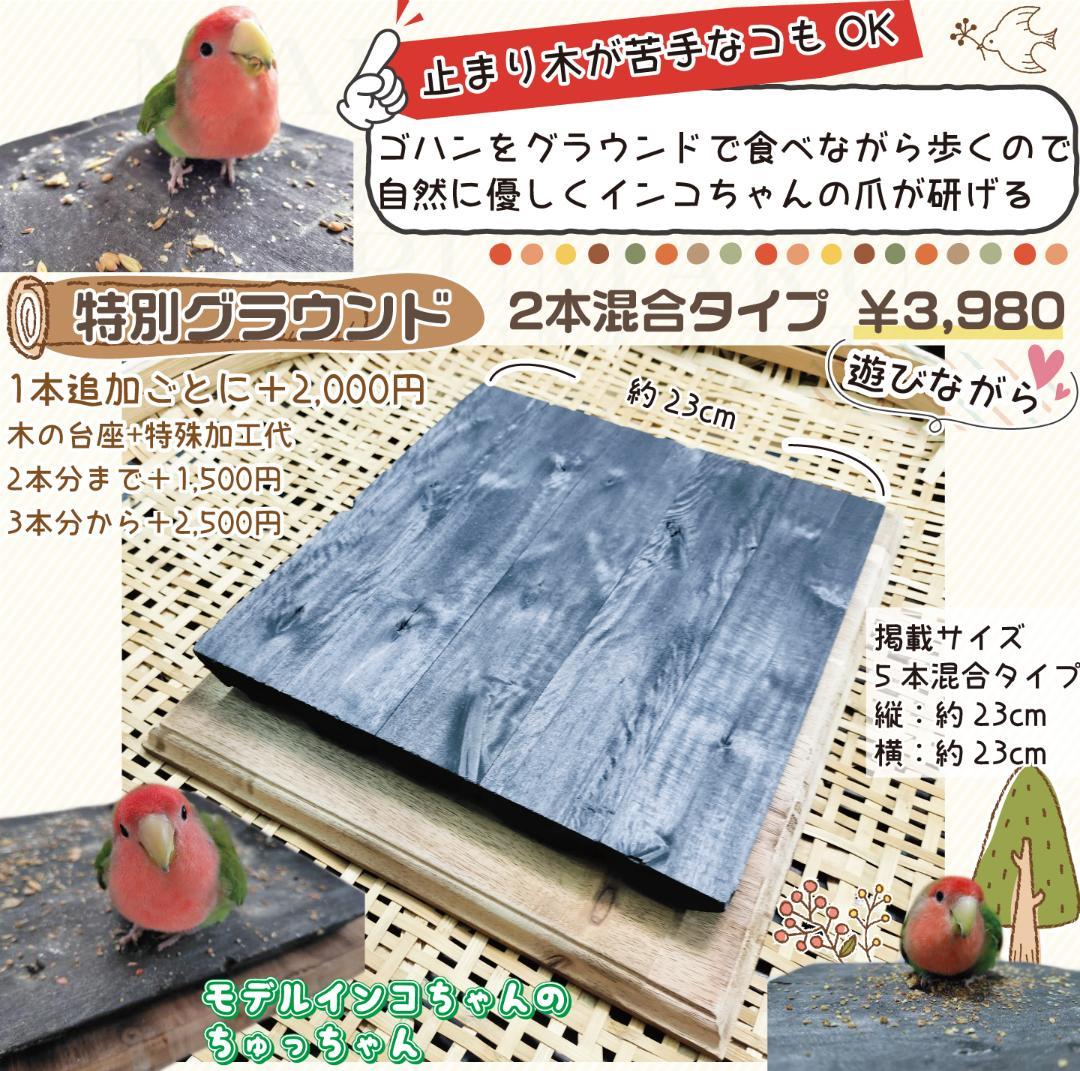 インコ爪とぎ2本 なめらか標準 太さ約4cm～約4.5cm 備長炭止まり木