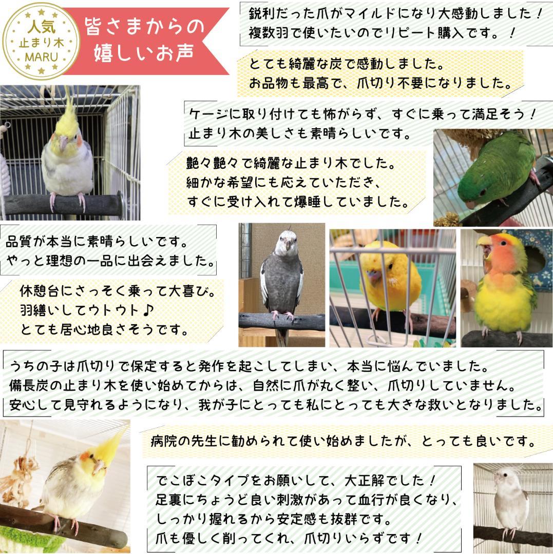 インコ爪とぎ2本 なめらか標準 太さ約4cm～約4.5cm 備長炭止まり木