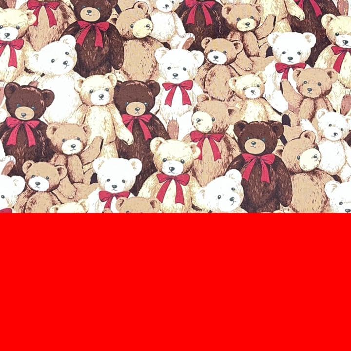 【名前刺繍無料サービス】テディベア柄★入園入学セット〈オーダー受付〉