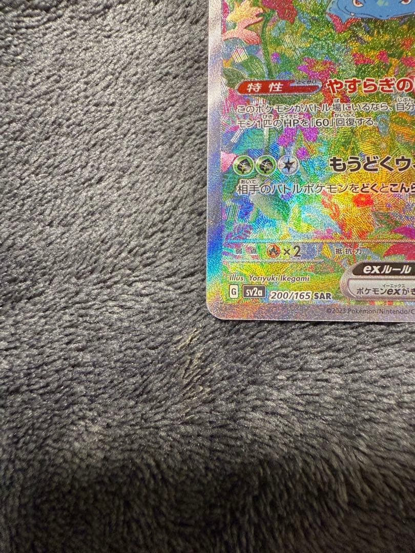H*o様 フシギダネ フシギソウ フシギバナ 3点セット