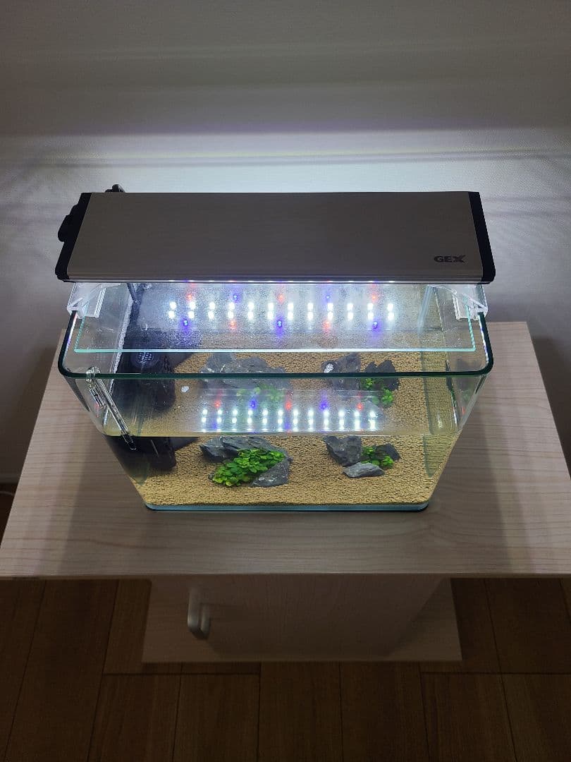 アクアリウム　GEX水槽台
