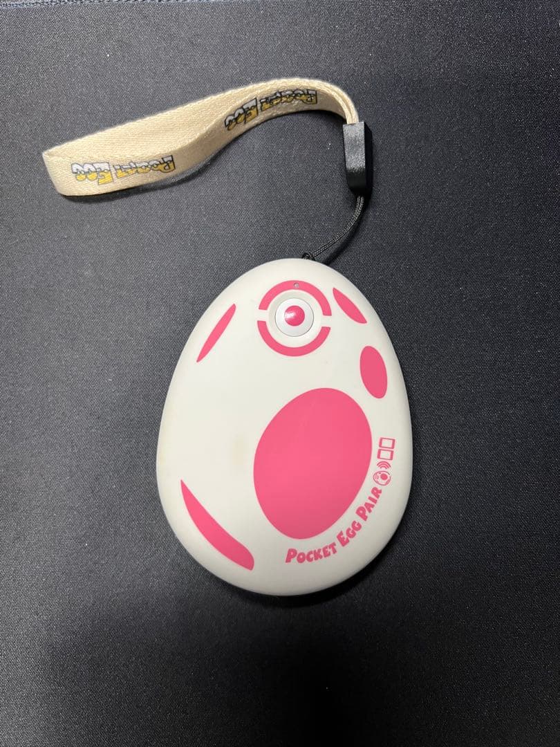 【たくねこさま】2台セット　二代目Pocket Ege Pair