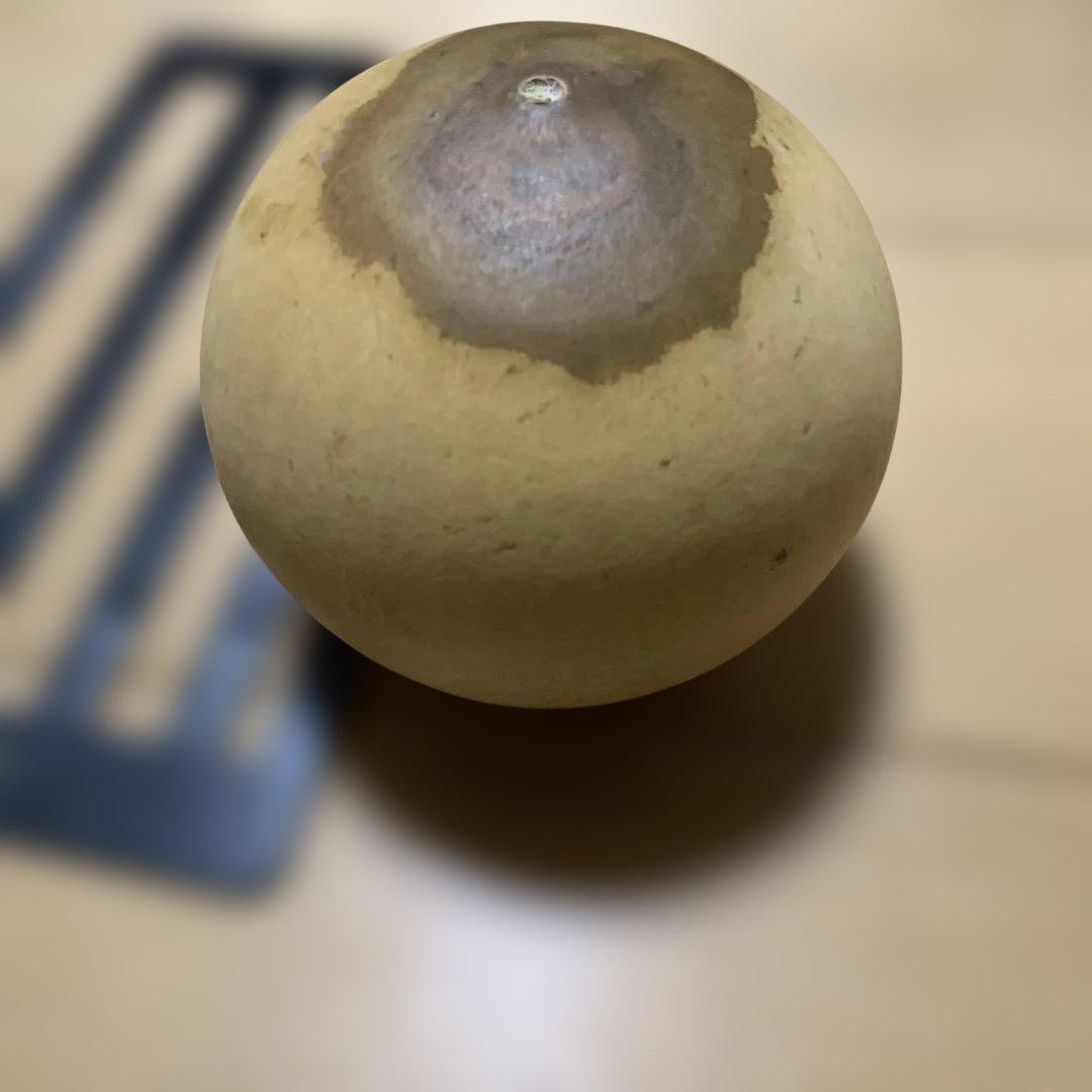 ひょうたん