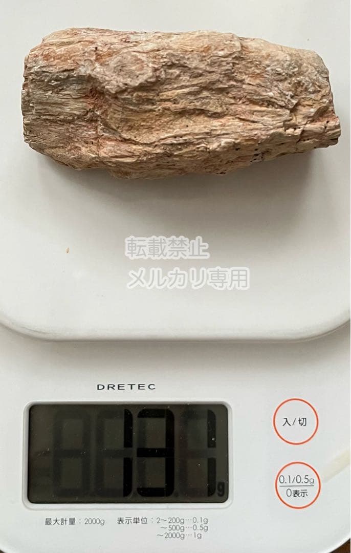 ペトリファイドウッド 珪化木 木の化石 マダガスカル産