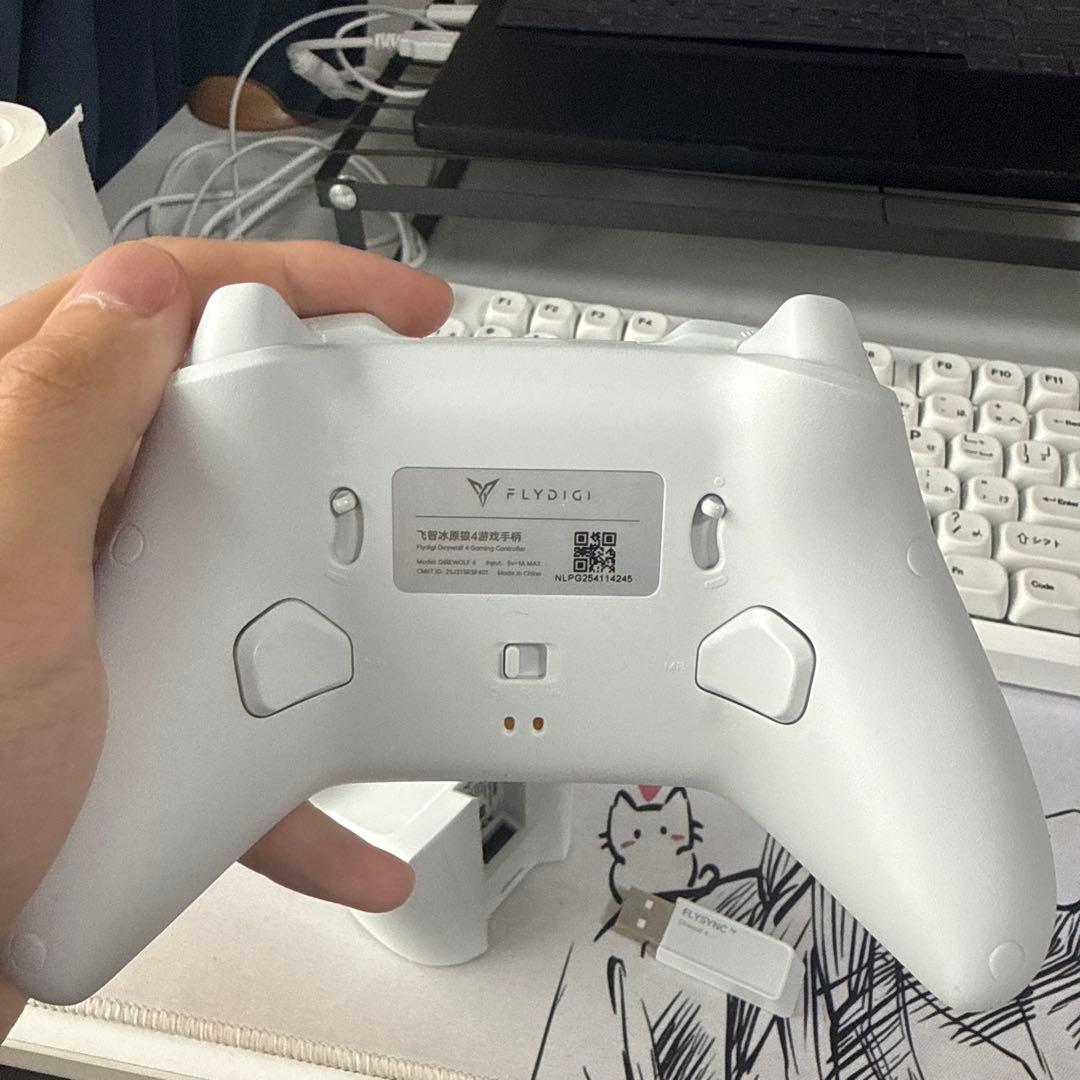 FLIPIGI ホワイト コントローラー