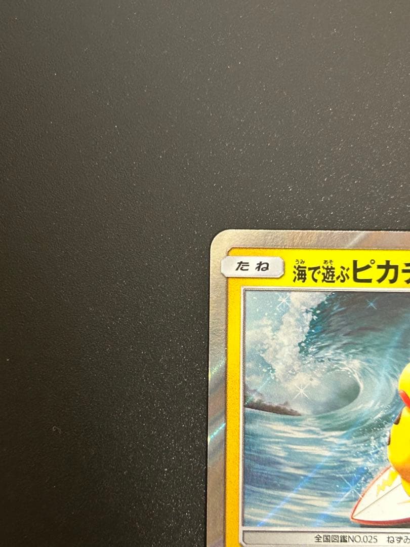 海で遊ぶピカチュウ：