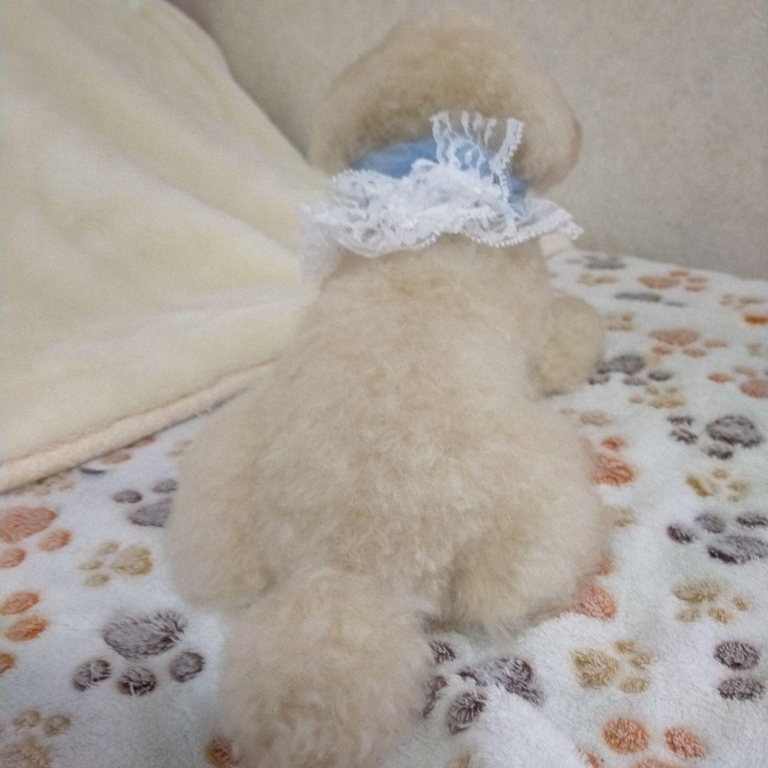 送料込み♡トイプードルアプリコットちゃん♡伏せポーズ。