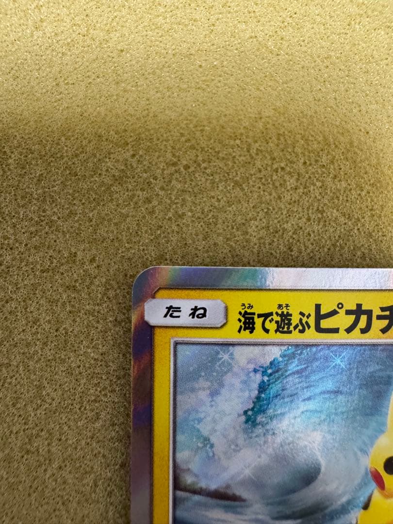 海で遊ぶピカチュウ