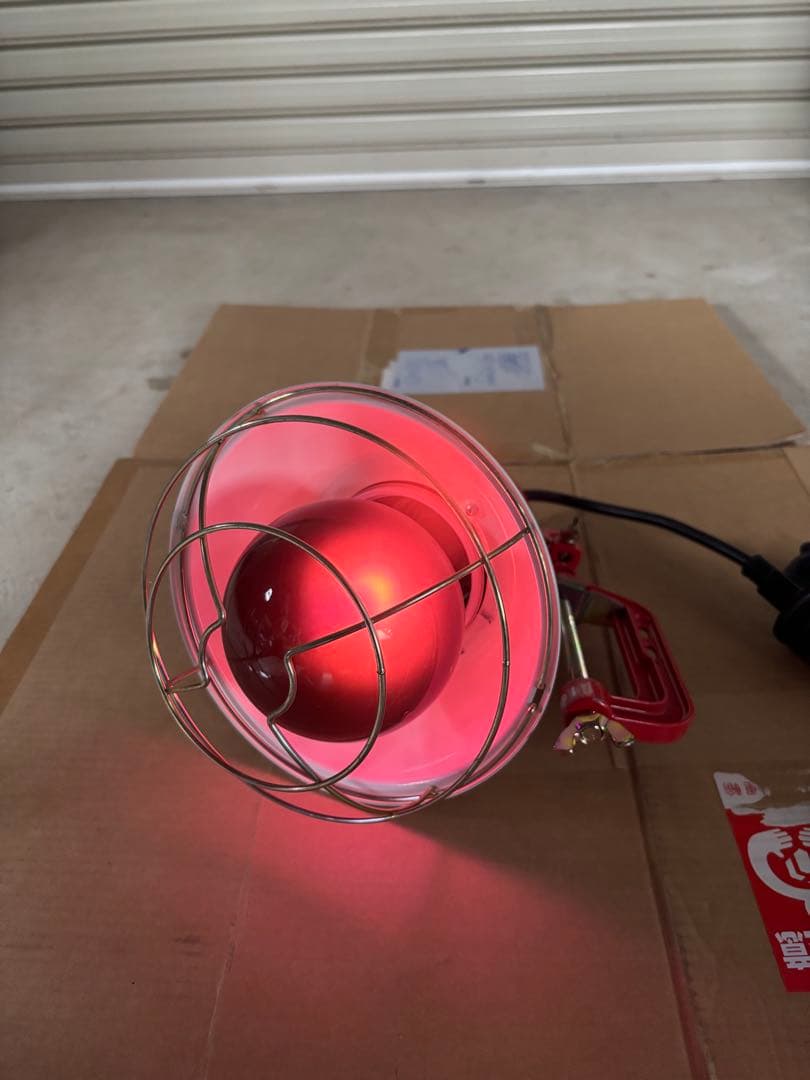 灯火採集 スザックバラストレスブラックランプ100V150W