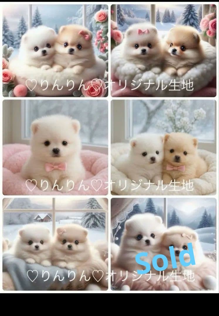 御確認ページ