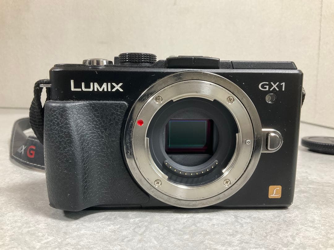 LUMIX GX1 本体 バッテリー 充電器付き
