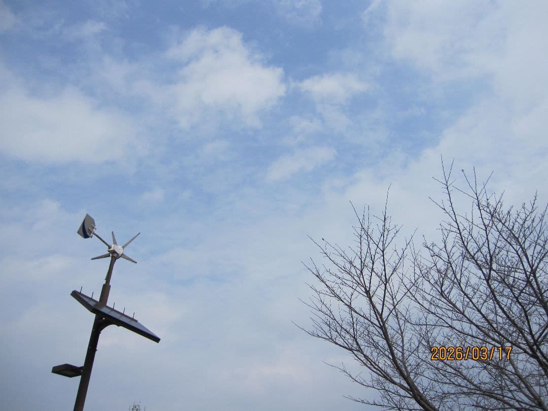 Canon IXY DIGITAL 510 IS ピンク 動作確認 キヤノン