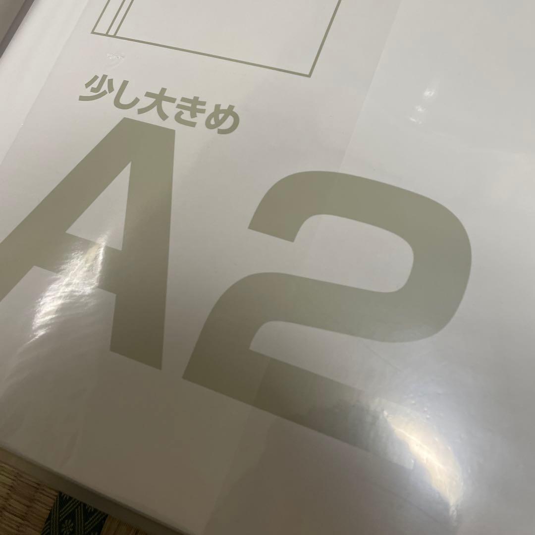 リヒトラブ　ファイル　クリヤーブック　10冊　A2　20ポケット　G3117-1
