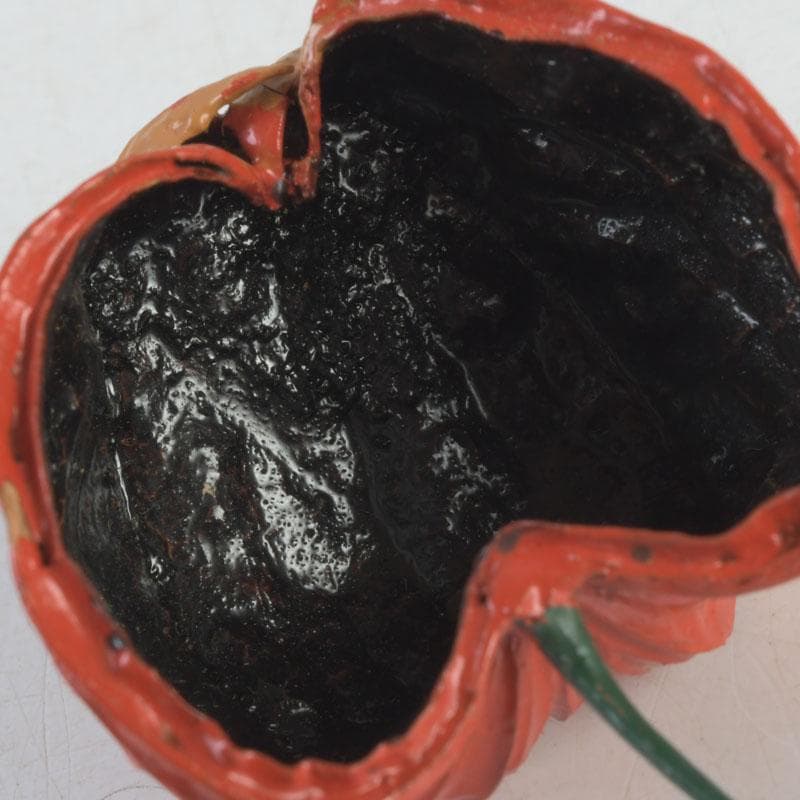 茶道具　乾漆　鬼灯　酸漿　ほうづき　香合　在銘　共箱　C　A4