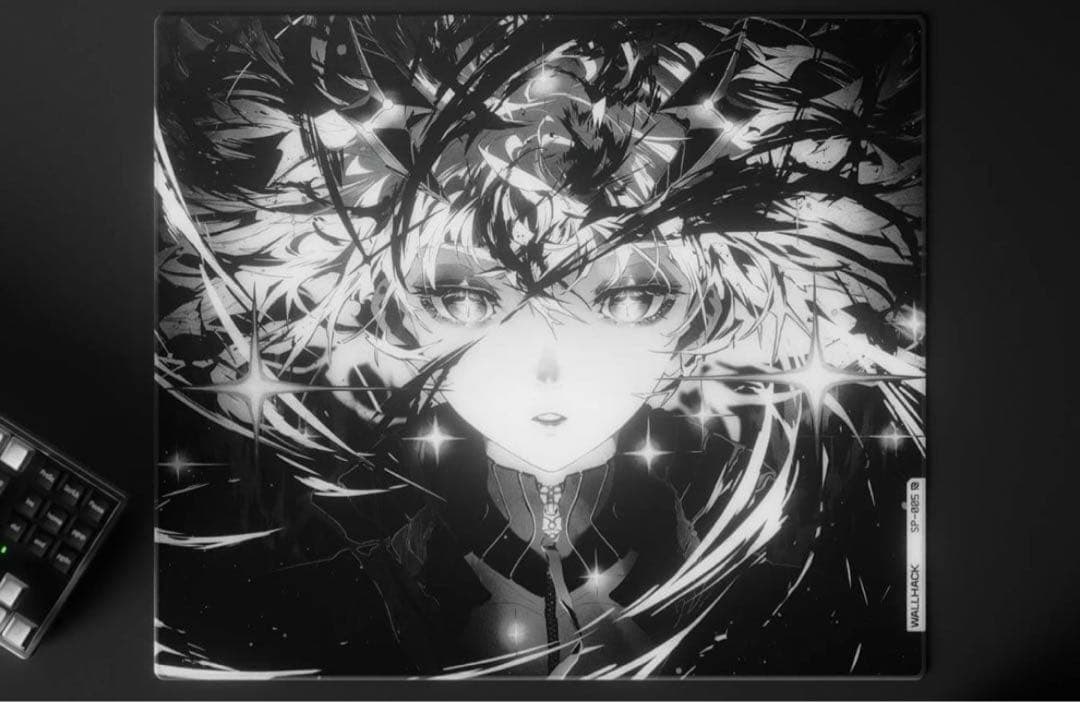 新品未開封 WALLHACK SP-005 限定版 AWAKENING SORA