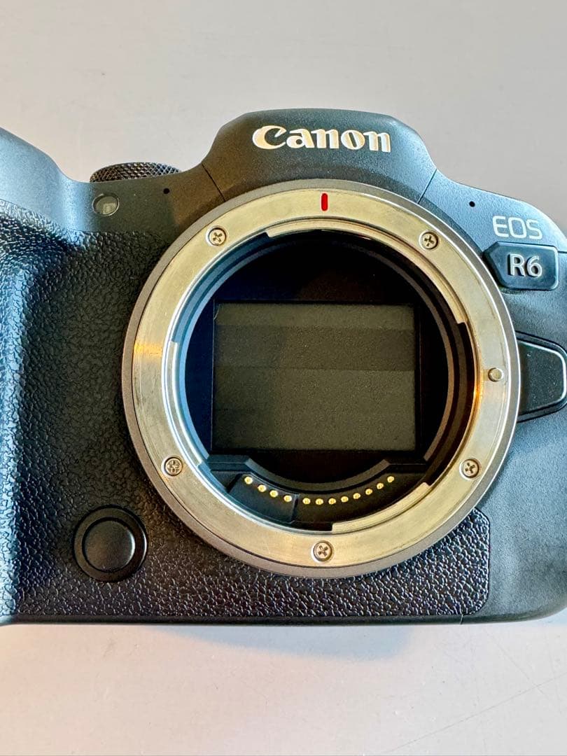 訳あり※説明文必読　EOS R6 キャノンCanon カメラ本体