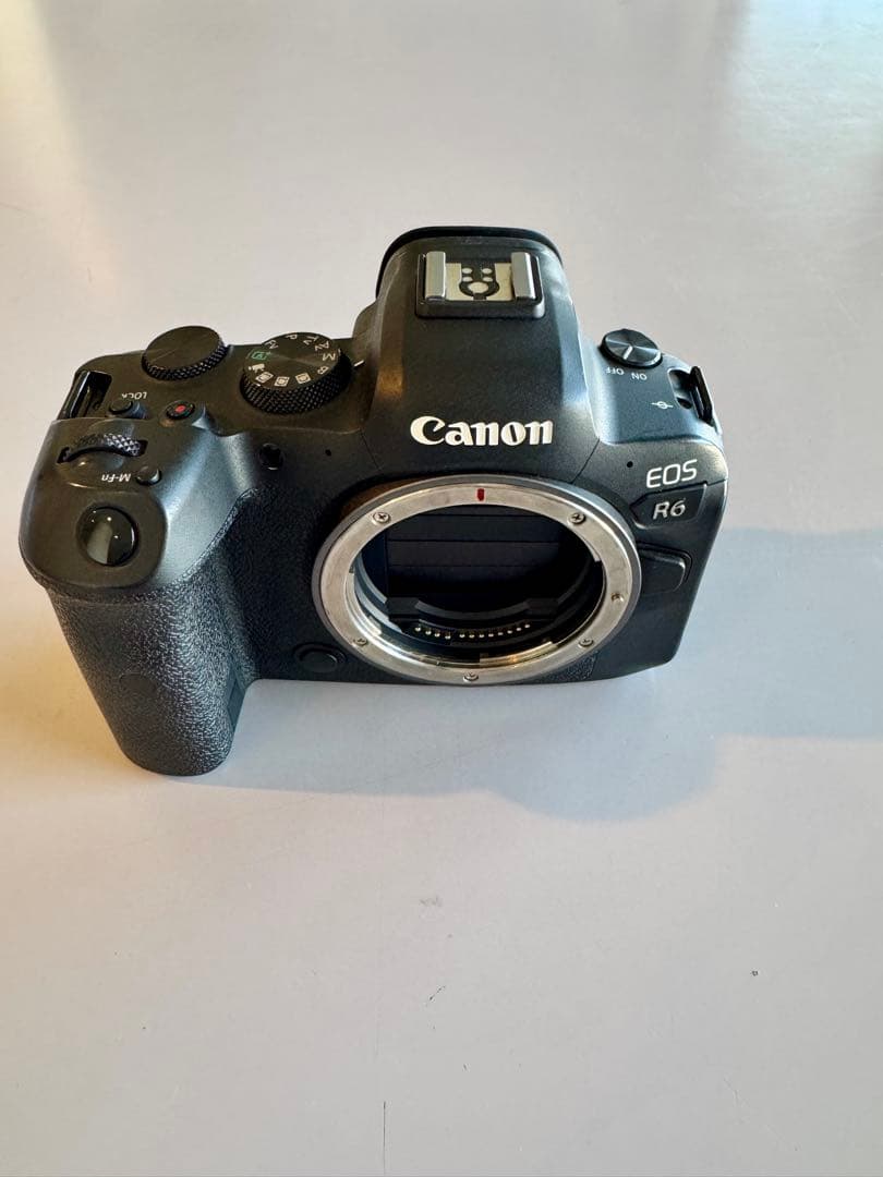 訳あり※説明文必読　EOS R6 キャノンCanon カメラ本体