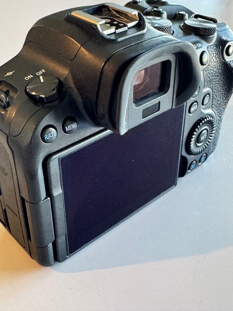 訳あり※説明文必読　EOS R6 キャノンCanon カメラ本体