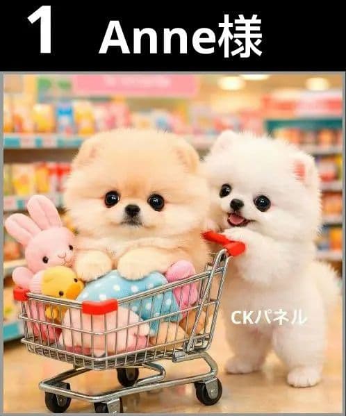 オーダーページ　ハンカチ　144 Shoppingわんこ柄　ハンドメイド2/15