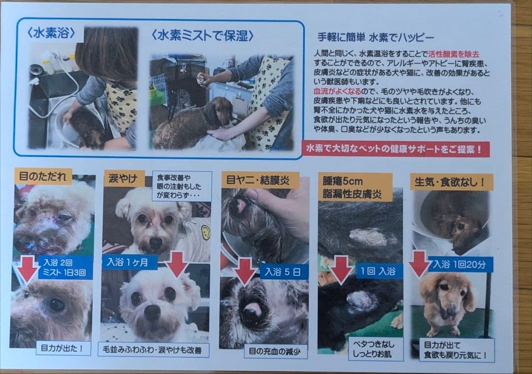 【超美品】 水素風呂 リタライフ ver 2【機能確認済】