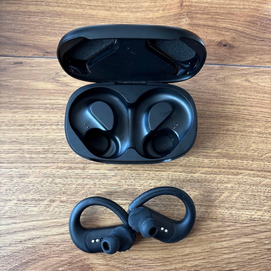 JBL endurance peak3 イヤホン ブラック