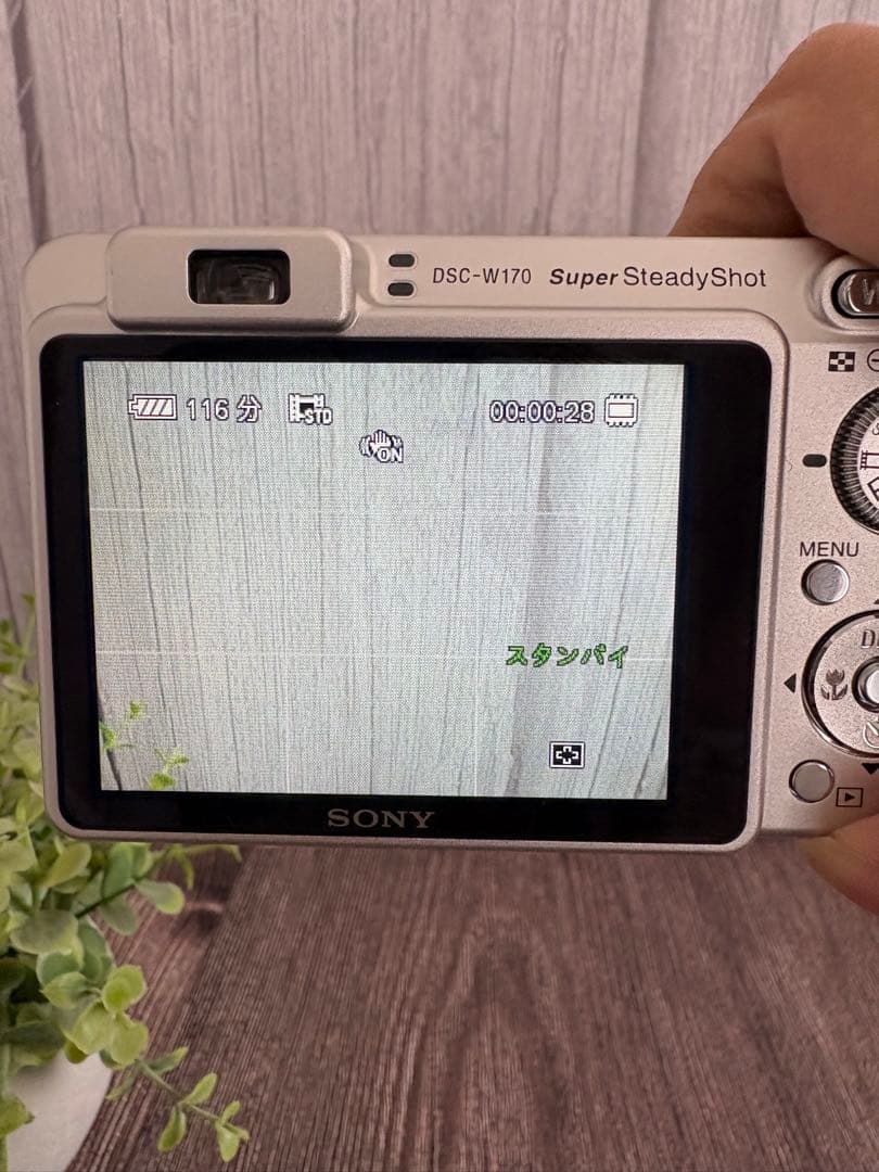 Sony DSC-W170 美品 バッテリー複数付き すぐ使えます