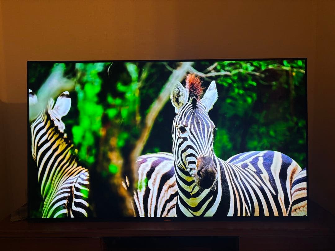 SONY BRAVIA KJ-55A9F 55v型
