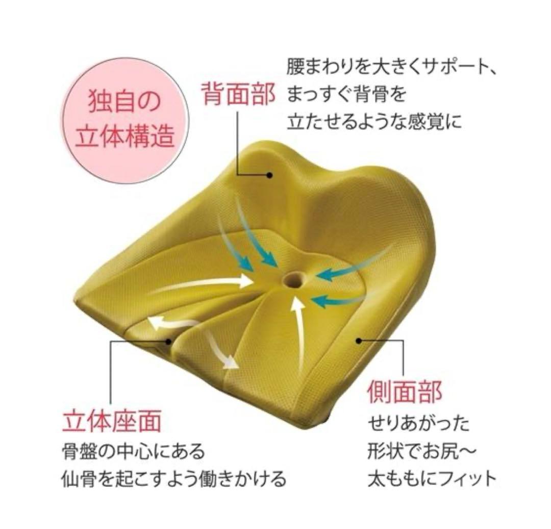 【美品】ニッセン 背骨のびのび腰痛対策 クッション nissen