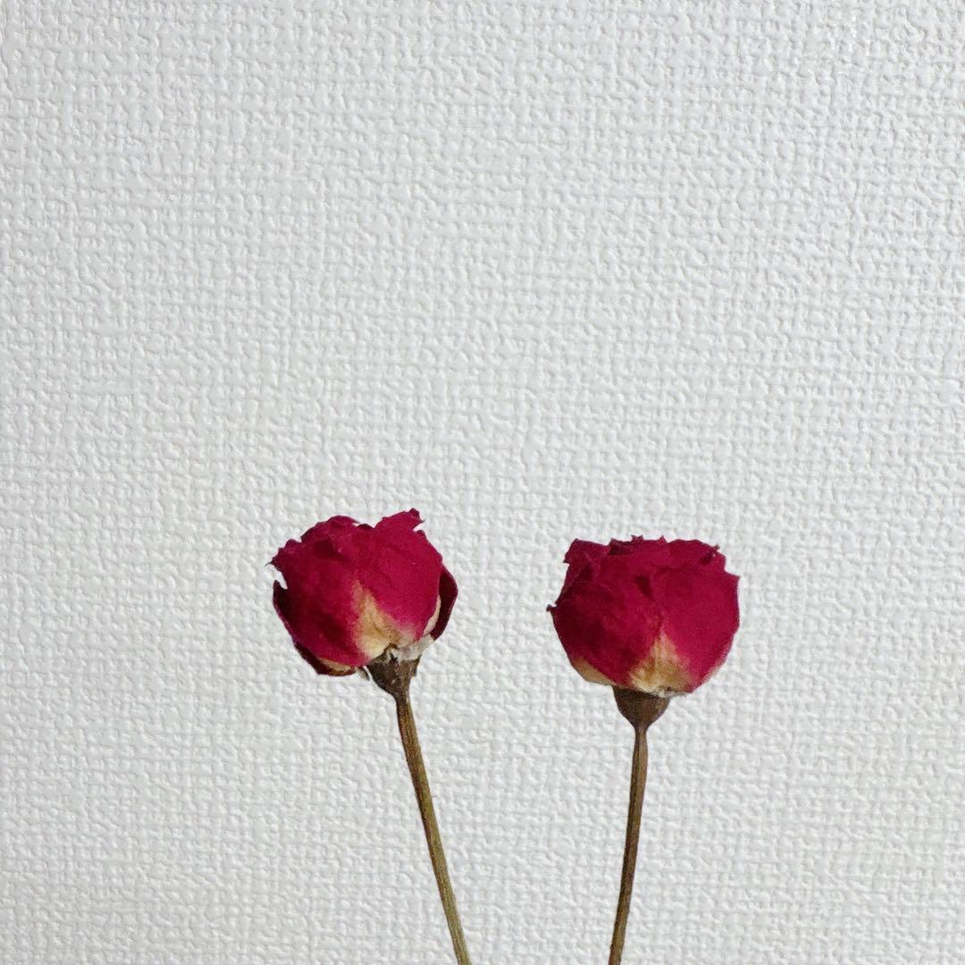 薔薇ピアス∗*゜
