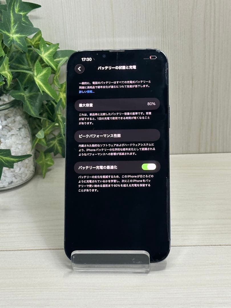 ✅動作確認済み✨iPhone 13 Pro Max SIM フリー