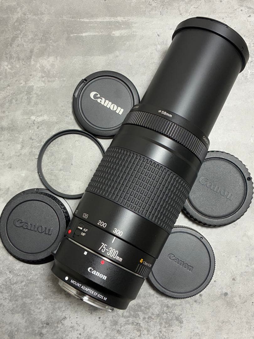 ⭐️美品⭐️Canon EFS 75-300 II & EF-EOS M アダプター