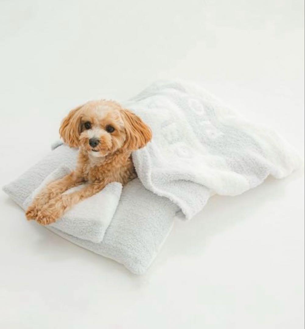 新品　ジェラートピケ【CAT&DOG】ベビモコおふとんセット　ブルー　お布団　犬