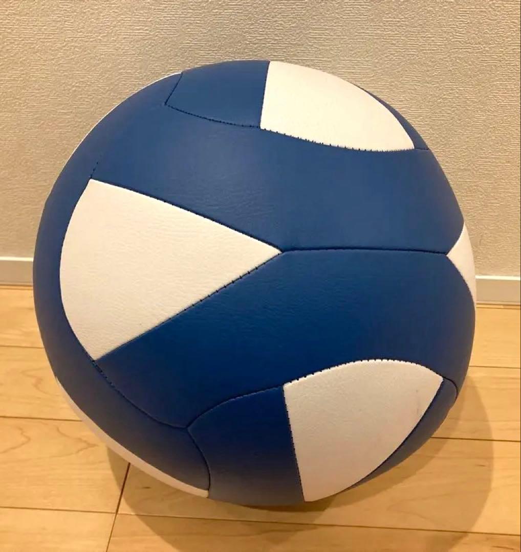 NISHI(ニシ・スポーツ) メガソフトメディシンボール3kg