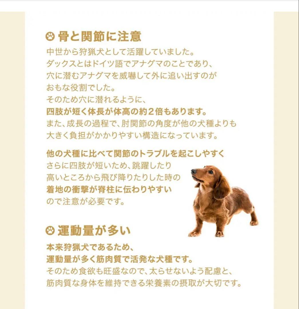  CANIN ダックスフンド 8+ 3kg【値下げしました】