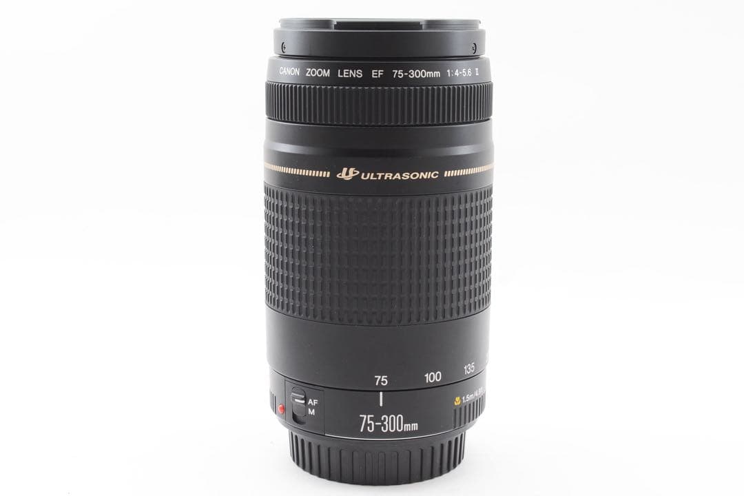 ☆ デジタル一眼レフカメラCanon EF 75-300㎜1:4-5.6 Ⅱ☆
