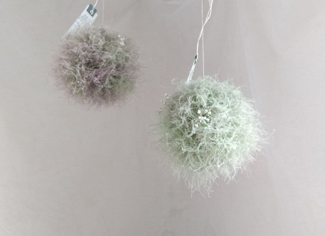 スモークツリーのフラワーボール ボールリース green