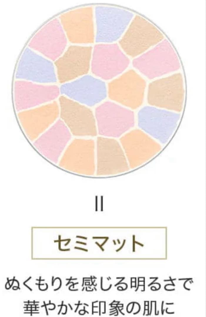 エレガンスラプードル オートニュアンス リクスィーズ 27g レフィル II