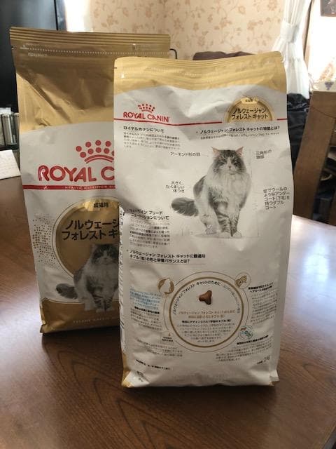 ロイヤルカナン　ノルウェージャンフォレストキャット　2kg✕2袋