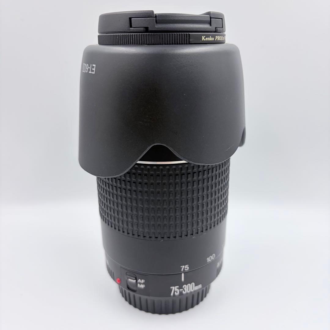 【美品】Canon EF 75-300mm 1:4-5.6 III USM